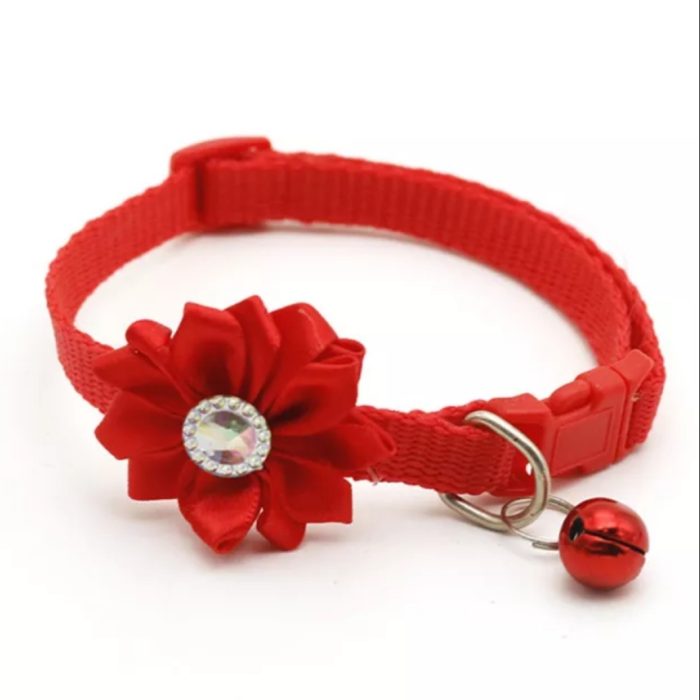 Collar ajustable para mascotas - Imagen 4