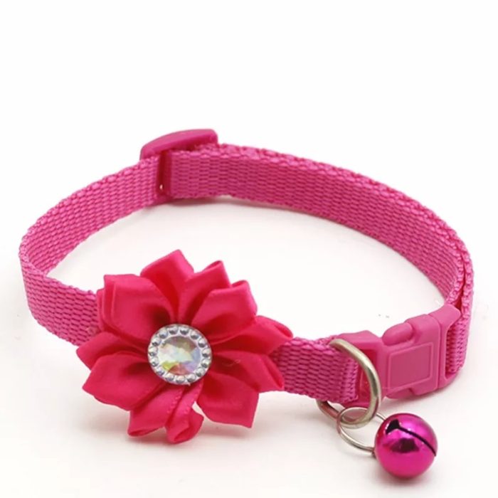 Collar ajustable para mascotas